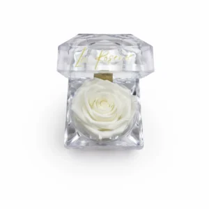 Mini illatosított örökrózsa akril dobozban (Fehér)