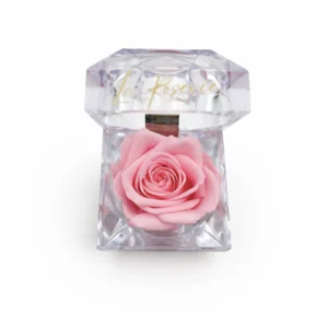 Mini illatosított örökrózsa akril dobozban (rózsaszín)