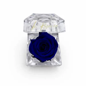 Mini illatosított örökrózsa akril dobozban (Kék)