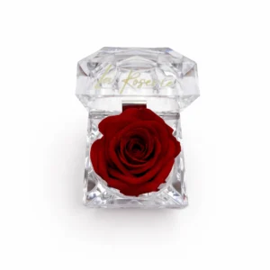 Mini illatosított örökrózsa akril dobozban (vörös)